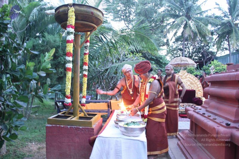 File:20151125 Photo 1031 1qJdgMhZqjgcVOoo69KurKCQmyYAA590V.JPG