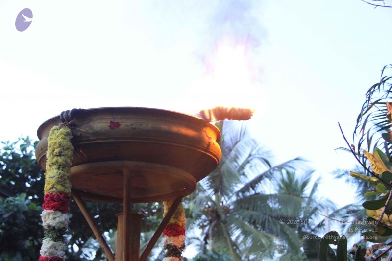 File:20151125 Photo 1040 12l8 SpEqq7lL9ArYiXtAifa3WHbPRGOA.JPG