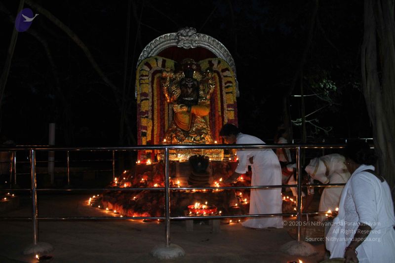 File:20151125 Photo 1069 1 zHx1u4hRZXxB M927KKo66VHAWBhPp7.JPG