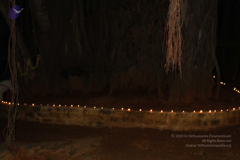 File:20151125 Photo 1074 1SJu85rk2RQwn5PM6Nu nTME3707j8aM4.JPG