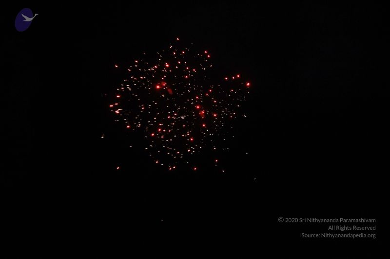 File:20151125 Photo 1116 1dxZqumKUXxCC7iJvpeksQa0AWDBaovG1.JPG