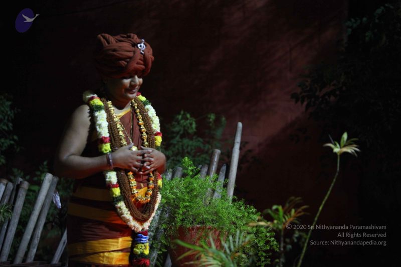 File:20151125 Photo 1139 1XqlMUIX76MlX QNMU2z7IxzQ 6etOc-g.JPG