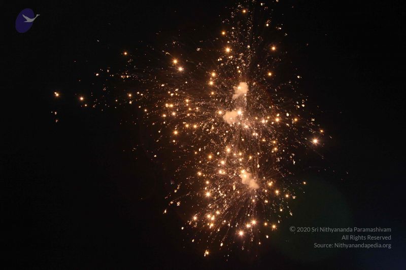 File:20151125 Photo 1154 1bUIf4ZRaG86naXkhWhyPT kGcN1ZZMOm.JPG