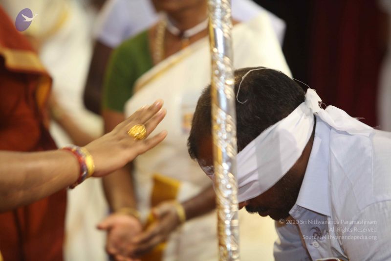 File:20151128 Photo 1061 19zxFcgMtdddElrHsrCkIRl1Mpp3SEtdi.JPG