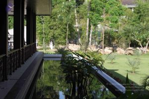 2015126t Photo 1002 1CSrUovIxiiU8sqUrsh1irefuCxtU1Kab.JPG