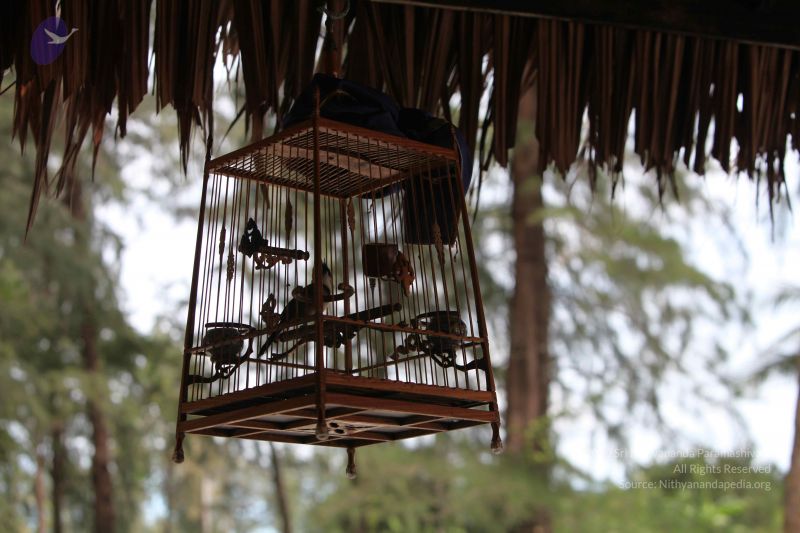 File:2015126t Photo 1011 1fTxkcEAmwEVkUN3pQt0uX -Le iBUvfv.JPG