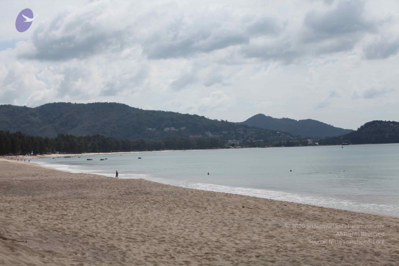 File:2015126t Photo 1122 19YVUlvPA2JpmhWEFe5JVMSUoOIFSiyaD.JPG