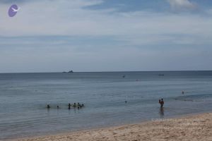 2015126t Photo 1124 1X B7RnztHZYNExwDxD4ONMSAWH6byUHS.JPG