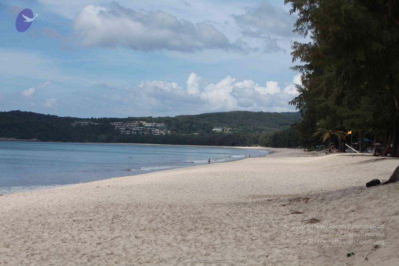 File:2015126t Photo 1127 1hvsRq-MNBmgeWEIu9kYgr8bRjz3VqY6N.JPG