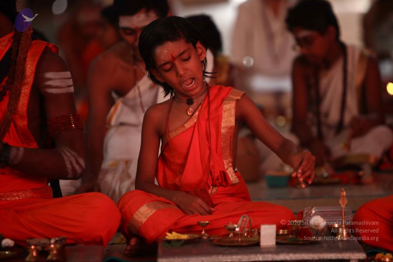 File:2016-08aug-04 8931 CMP WM.jpg