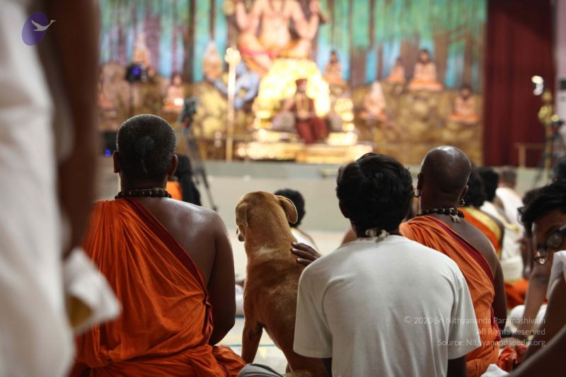 File:2016-08aug-04 9006 CMP WM.jpg