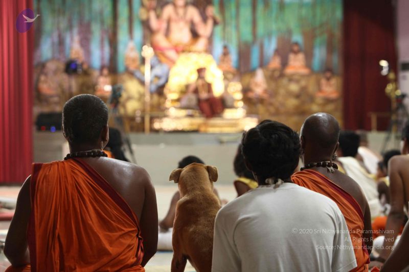 File:2016-08aug-04 9007 CMP WM.jpg