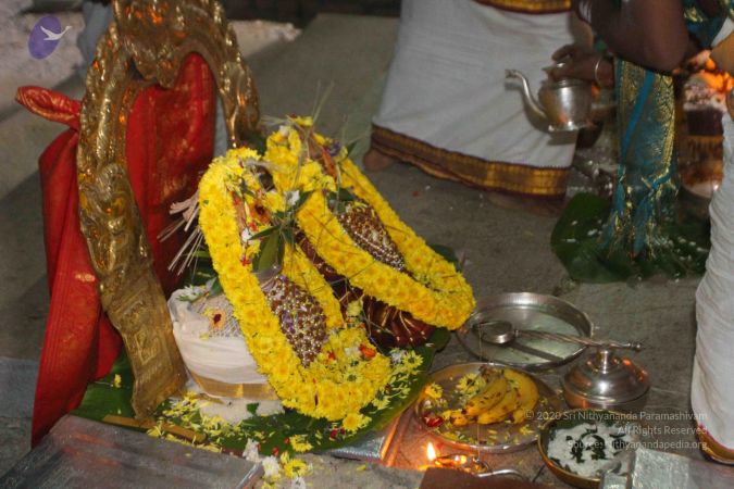 20160102 Photo 1381 1IWaud8cYhNXN9TJOGngJpqYIWoe94ITb.JPG