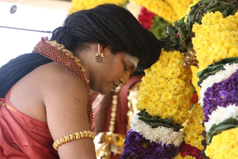 File:20160103 5F0A0471-570001.jpg