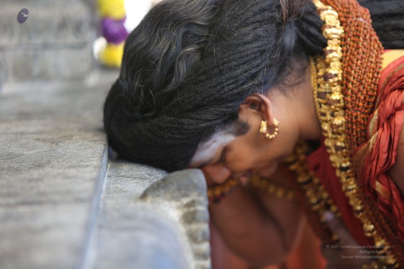 File:20160103 5F0A0598-1780001.jpg