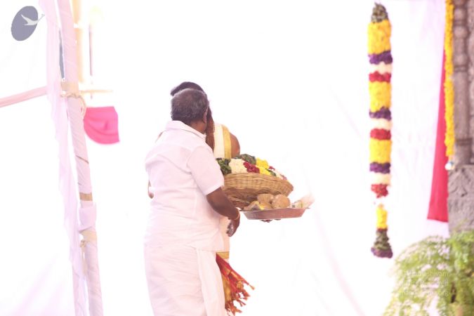 20160103 5F0A1317-319001.jpg