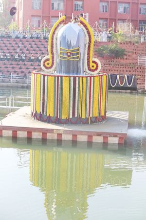 20160103 5F0A1398-06001.jpg