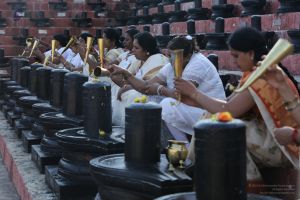 20160103 5F0A1413-12001.jpg