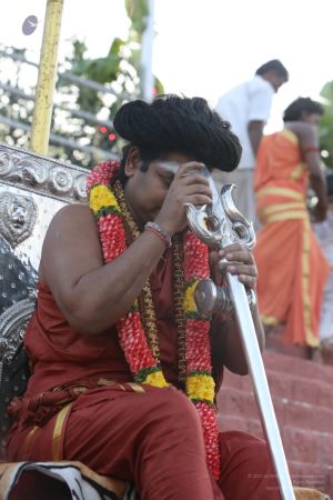 20160103 5F0A1523-29001.jpg