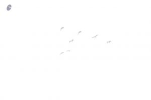 20160103 5F0A1540-42001.jpg