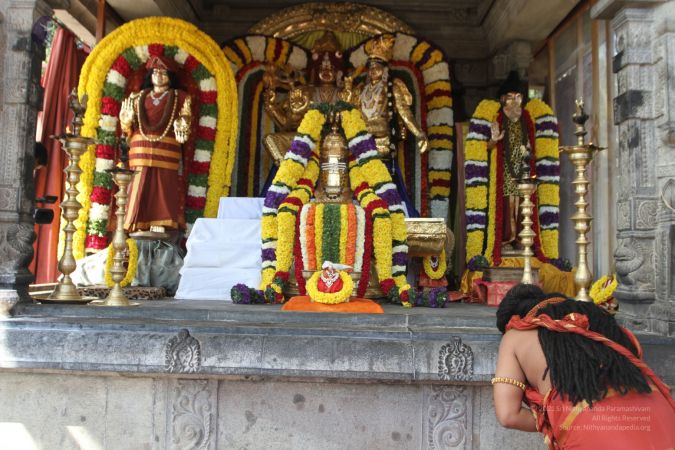 20160103 IMG 9410-2000001.jpg