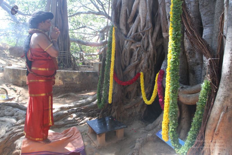 File:20160103 IMG 9520-2880001.jpg