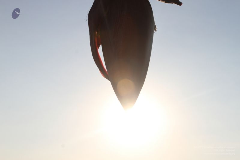 File:20160103 IMG 9900-3001.jpg