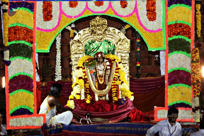 File:20160104 Photo 1176 1sRFXjjeKdDIVeqeLAZ65SFdIZNR9oiD7.JPG