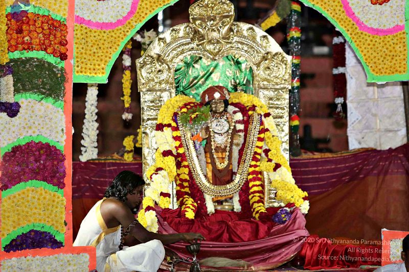 File:20160104 Photo 1181 18mlBZ1EhIZmUosxXdaof5KAbZIaL73k9.JPG