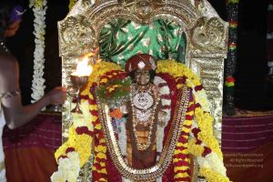 20160104 Photo 1207 1JGbIMCiPVTET-WYWVv-10N3jAfppediT.JPG