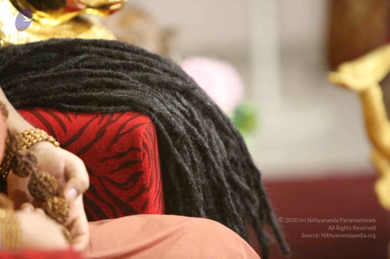 File:20160110 Photo 1014 1rRvyNWjs5Jvt4IlZltKJfLhTH7wu5Fwx.JPG