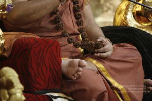 20160110 Photo 1160 1u35CCHufJZNcy96CF3oydpyVQdvCrJ0U.JPG