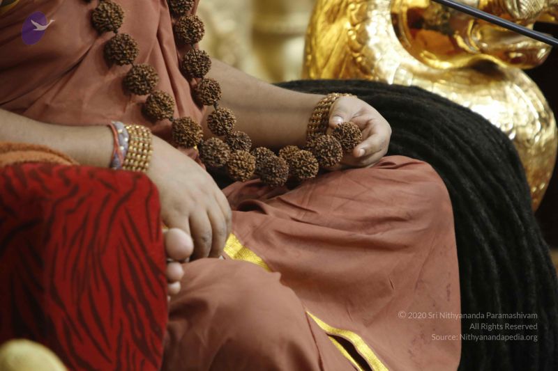 File:20160110 Photo 1215 1PoV4Un-70apvu2kuKH1ihAzaJtv7lEwU.JPG