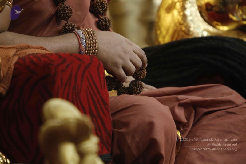 File:20160110 Photo 1234 1nkmBI2ucRxogUlQa6ob7qkg0Xz06Sg4D.JPG