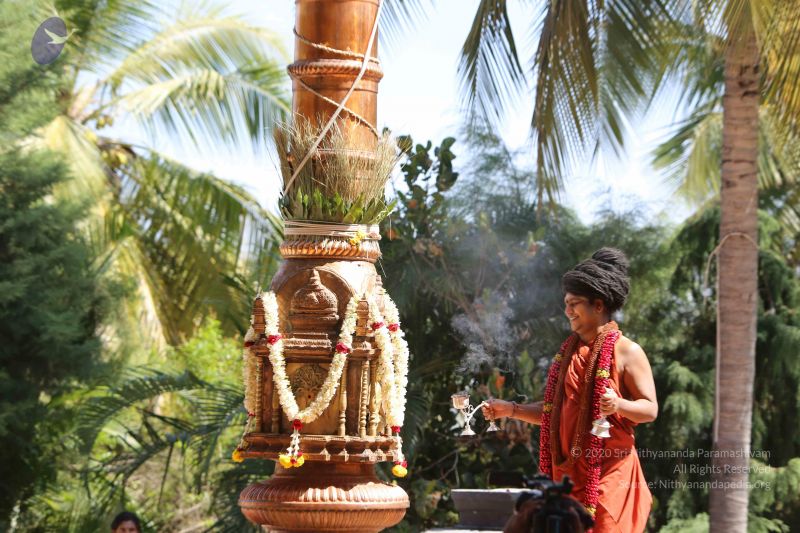 File:20160111 Photo 1111 1Xo WEUK3YbLE368nwqTjrujVIUPONwBs.JPG