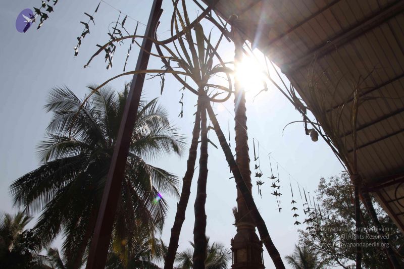 File:20160115 Photo 1000 1RJUuOIvQo7WMoo9S1LzgIe3GCTwQuAOj.JPG