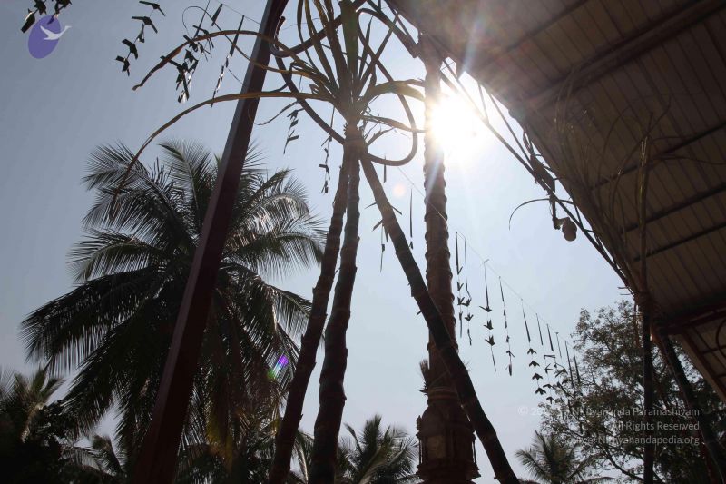 File:20160115 Photo 1001 1ybEMIxvITKv0WiE8jL5BdbySStVRAF o.JPG