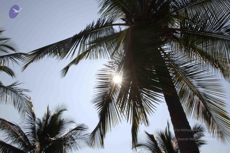 File:20160115 Photo 1022 1h9fhiJMY4J0VkvZL52qE3hhRxQJfQvzR.JPG