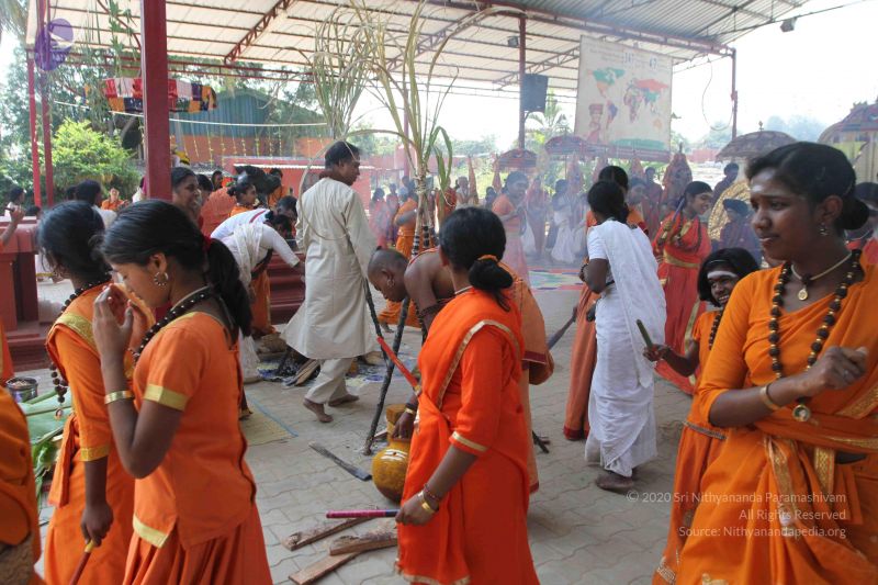 File:20160115 Photo 1073 1SnCfwcvd1C8sinDVDwFZuzS83Zj6nIJy.JPG