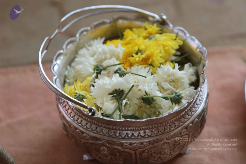 File:20160115 Photo 1097 1cwBTUVQ2ew-0Hia4YgEYOg-5p5-EGtDP.JPG