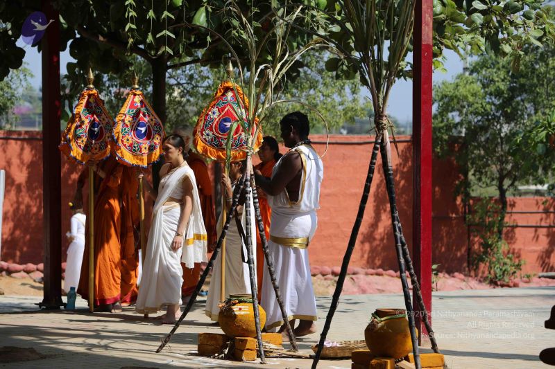 File:20160115 Photo 1100 10so5ZfV0NSvl6fFxISNpK2BYYWEHYf7e.JPG