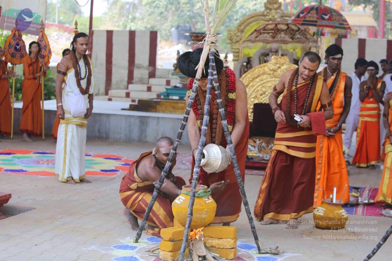 File:20160115 Photo 1115 1Q1Gh7ja2uocUmKCQ OxgHxkbKCQQ1f8z.JPG