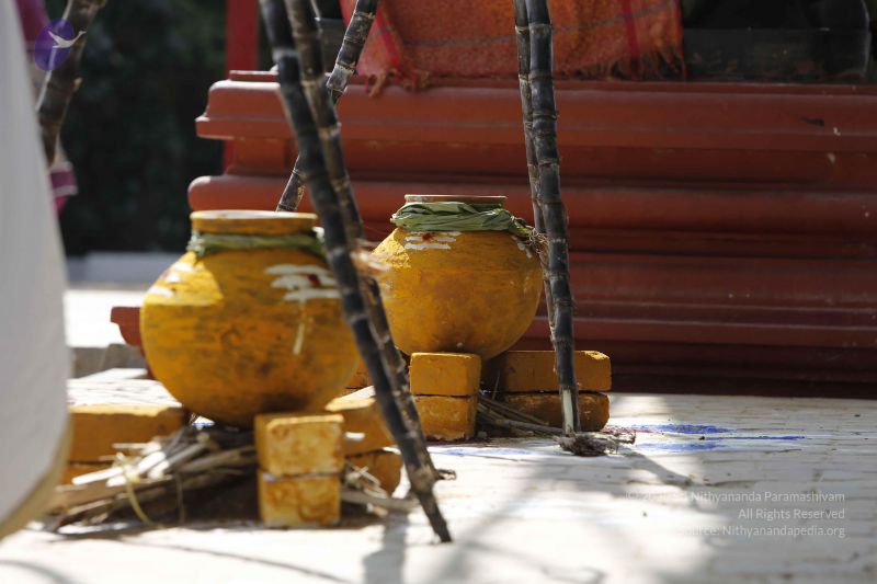 File:20160115 Photo 1133 19d7nTqzbHPoejnzPmTO9wf66DxR dEyY.JPG