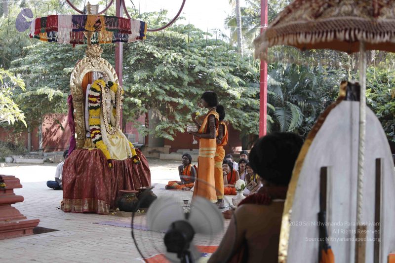 File:20160115 Photo 1229 1MPaaxJhm1jHgRgmvcRnP43j9ULcowbyR.JPG