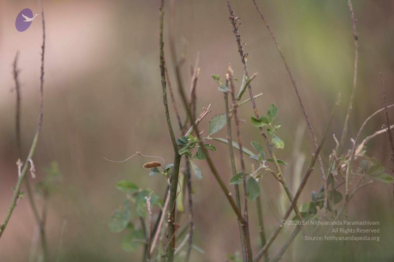 File:20160116 Photo 1345 1ppKGqIP6RfznUE1KeVpauQyQC7eLhh8L.JPG