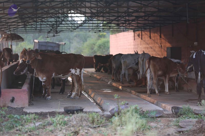 File:20160116 Photo 1346 17yTN0 cm HPHeAIsUIdpI8O5P4BPsP8S.JPG