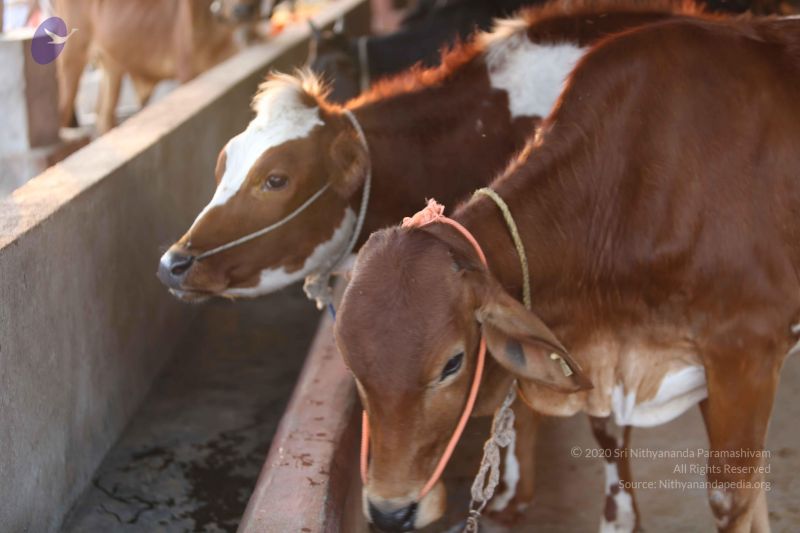 File:20160116 Photo 1349 11D9u-aSFdDTZ7njlwozU9rfNNhRrxoZo.JPG