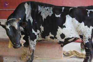 20160116 Photo 1350 18foZ4dUikDWjJ3cYiAQJCIgQlDHtdz9g.JPG