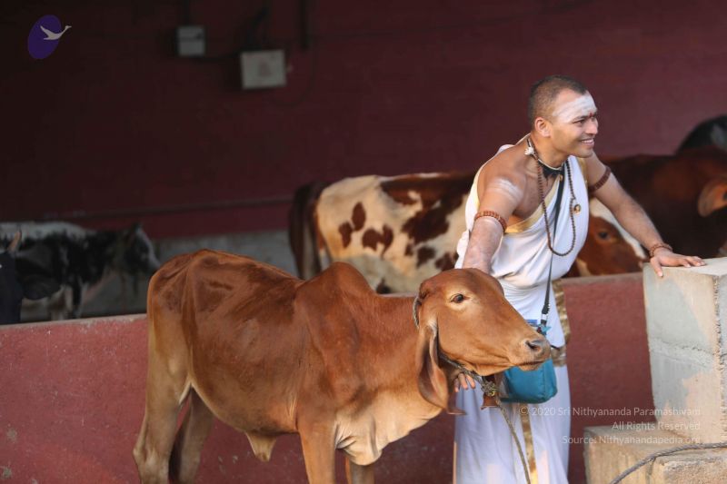 File:20160116 Photo 1352 10Uf3LjXxzAoYNgICgFfif6WdzFhX4kKt.JPG