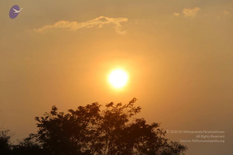 File:20160116 Photo 1355 1Fpwmxcq hmvhI2xTpEA97ON5c8mjghpI.JPG